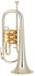 Preview: Miraphone 24R/1102AP01 Edition Bb-Flugelhorn with water key on branch