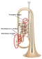 Preview: Miraphone 24R/1102AP01 Edition Bb-Flugelhorn with water key on branch