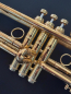 Preview: Carol Brass CTR-8880H-GSS-SLB-L