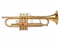 Preview: Adams Custom Series A4-LT Selected Model Bb-Trumpet, satin gold lacquered - single piece