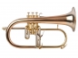 Preview: Adams F1 RB Selected Flugelhorn