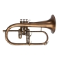 Preview: Adams F1 RB AF Selected  Flugelhorn