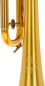 Preview: B&S PBB PERSONALITY BENNY BROWN Bb Trumpet