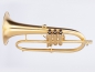 Preview: Adams Custom Series F2 Flugelhorn