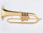 Preview: Adams Custom Series F2 Flugelhorn - single piece