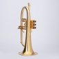 Preview: Adams Custom Series F2 Flugelhorn - single piece