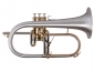 Preview: Adams F1 SS Custom Flugelhorn