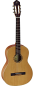 Preview: Ortega R122