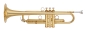 Preview: Yamaha YTR-8330EM Bb-Trompete