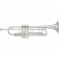 Preview: Yamaha YTR-8335GS 04 Bb-Trumpet, silver plated
