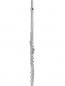 Preview: Miyazawa PB 602RE Flute