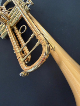 Preview: Carol Brass CTR-8880H-GSS-SLB-L