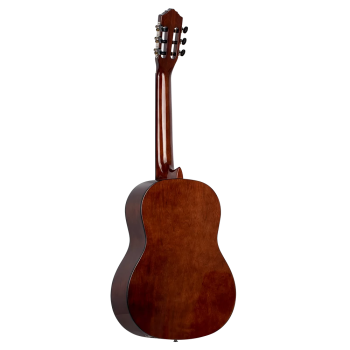 Ortega RST5 guitar