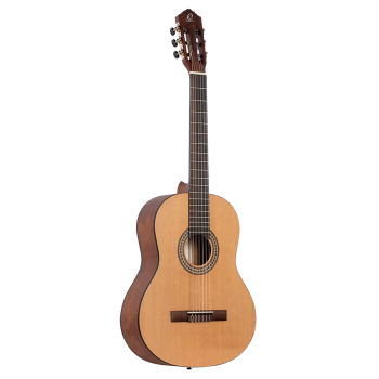 Ortega RSTC5M guitar