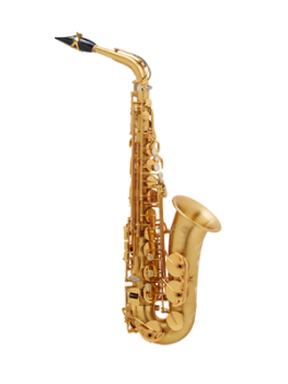 Selmer Signature SE-ASIM Alto Saxophone - brushed matt
