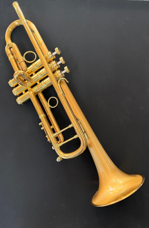 Carol Brass CTR-8880H-GSS-SLB-L