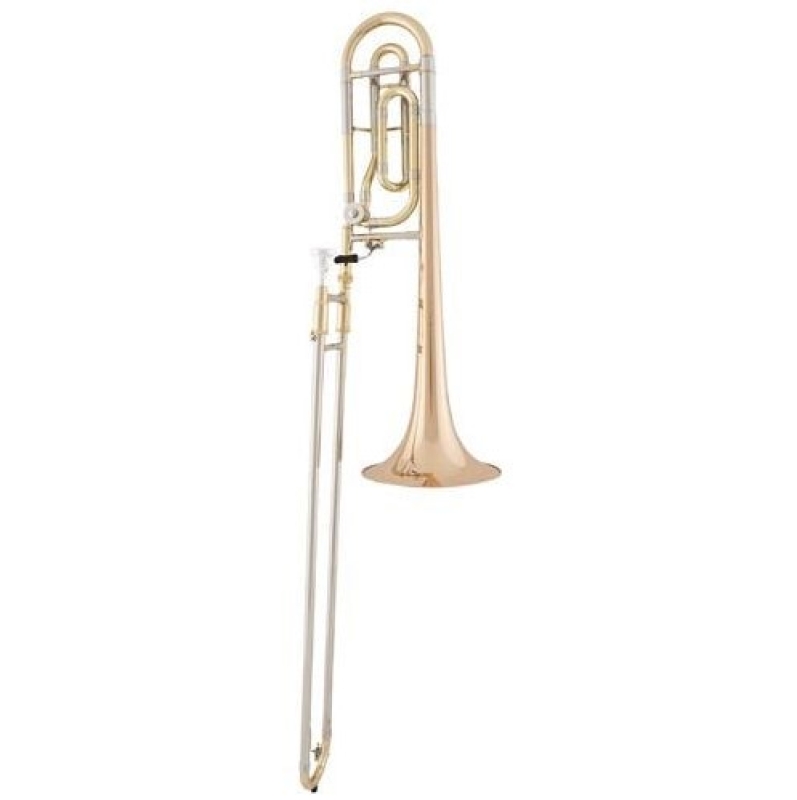 Arnolds & Sons ASL-420G Terra Trombone