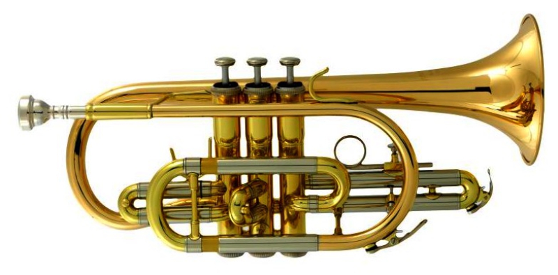 A&S ACR-4220G Terra Cornet, Gold Brass