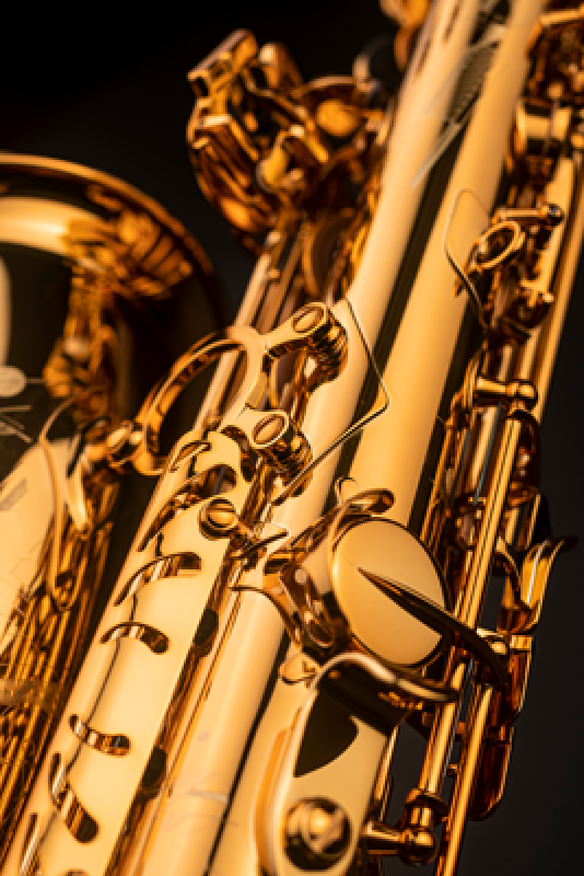 Selmer Signature SE-ASIL Alto Saxophone - Gold lacquer