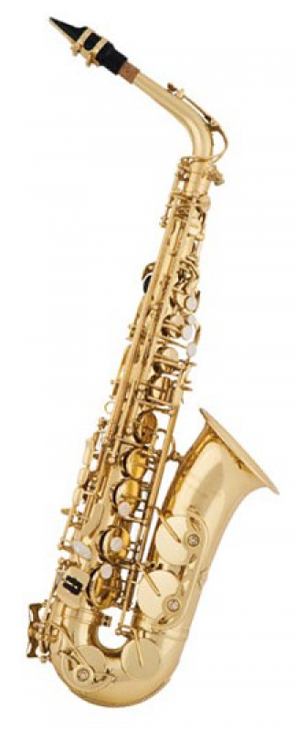 Arnolds & Sons AAS-100 Alto Saxophone