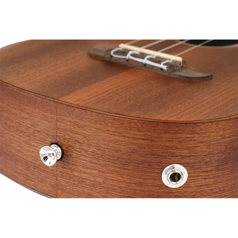 Ortega RFU11SE Concert Ukulele - Timber Series