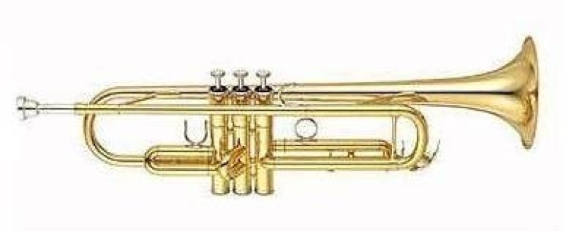 Big overhaul Trumpet, Cornet, Flugelhorn with Périnet Valves (after date arrangement)